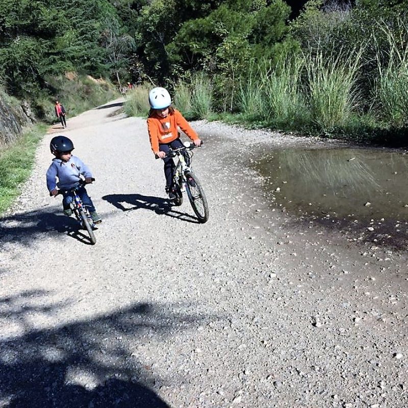 Disfrutar_bici